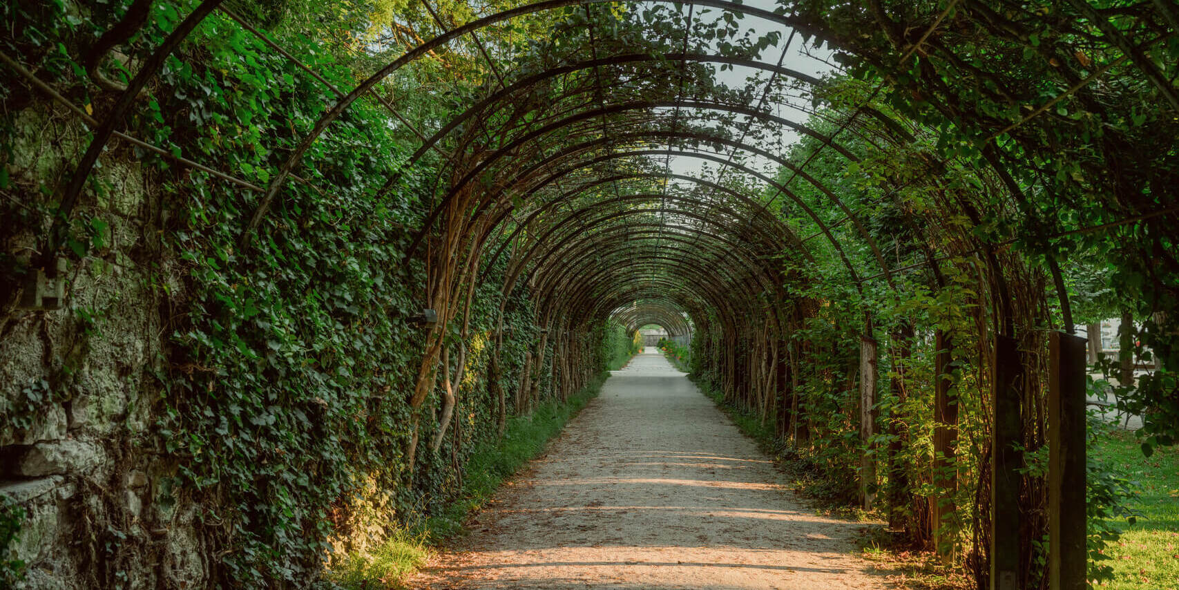 Foliage arch leading through Salzburg's Mirabell Gardens © Tourismus Salzburg GmbH / Patrick Langwallner
