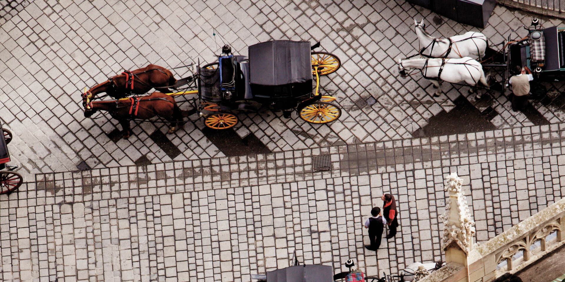 Vienna - Fiaker in front of Stephansdom © Wien Tourismus | Peter Rigaud