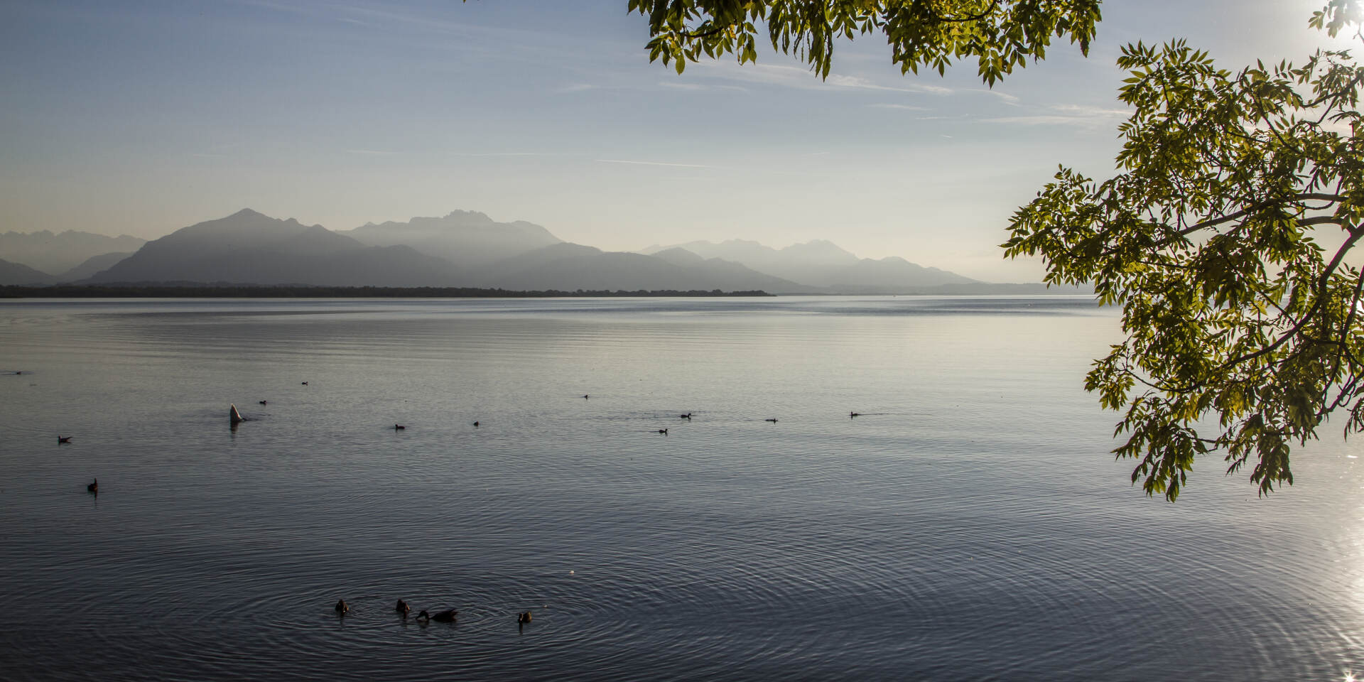 Panoramic view on the Alps at lake Chiemsee-©Chiemsee-Alpenland Tourismus
