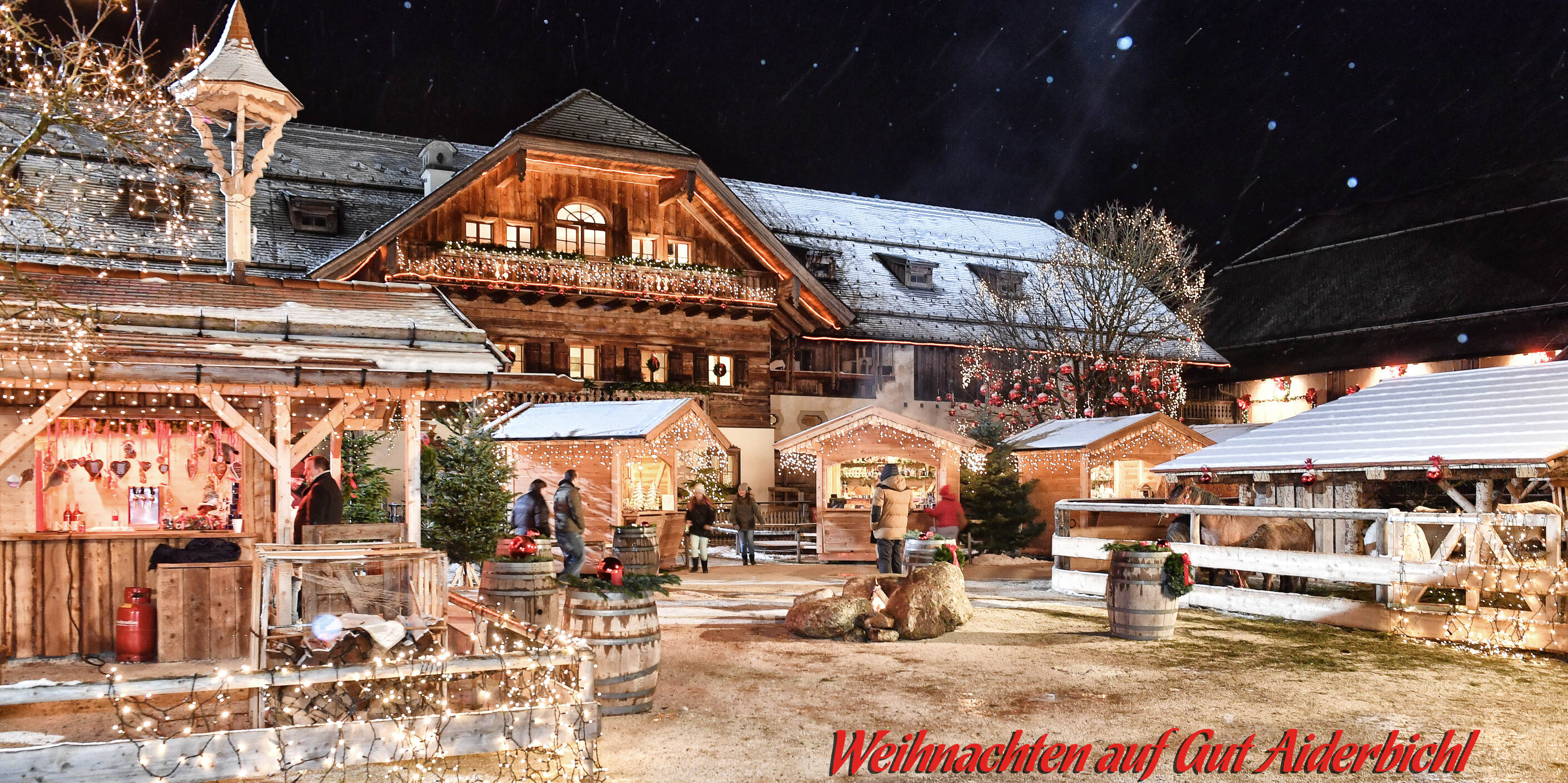 Gut Aiderbichl Deggendorf Weihnachten 2022 PrivatTour zum Gut Aiderbichl inkl. Sonderführung vor Ort