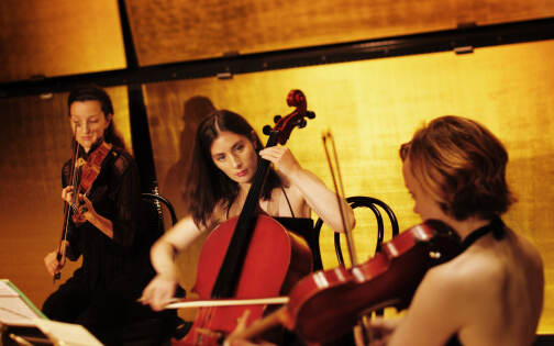 Violinists © WienTourismus | Ges. d. Musikfreunde in Wien