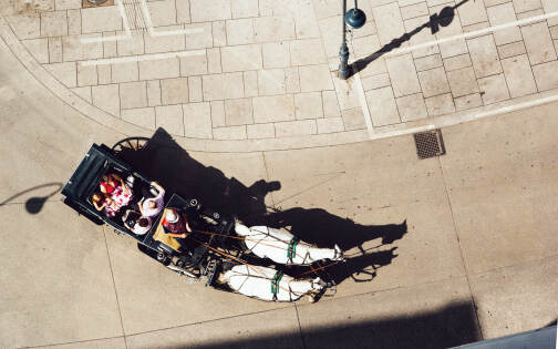 Vienna - bird's eye view of a Fiaker © Wien Tourismus | Julius Hirtzberger