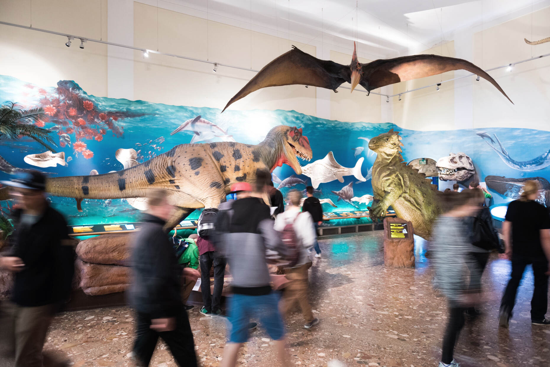 Haus der Natur Museum für Natur & Technik