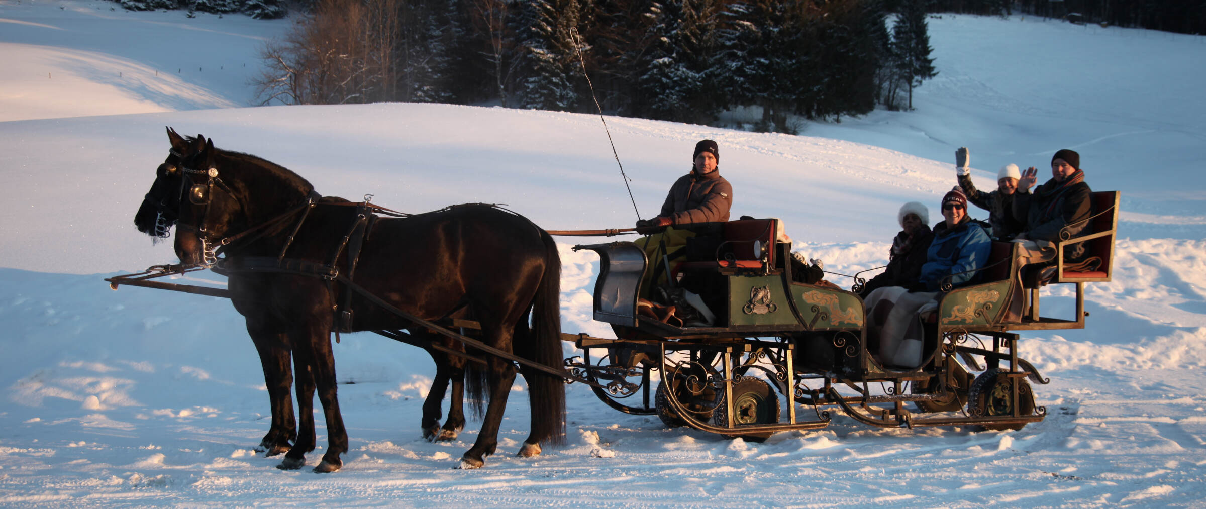Horse Drawn Sleigh Ride in Styria Panorama Tours