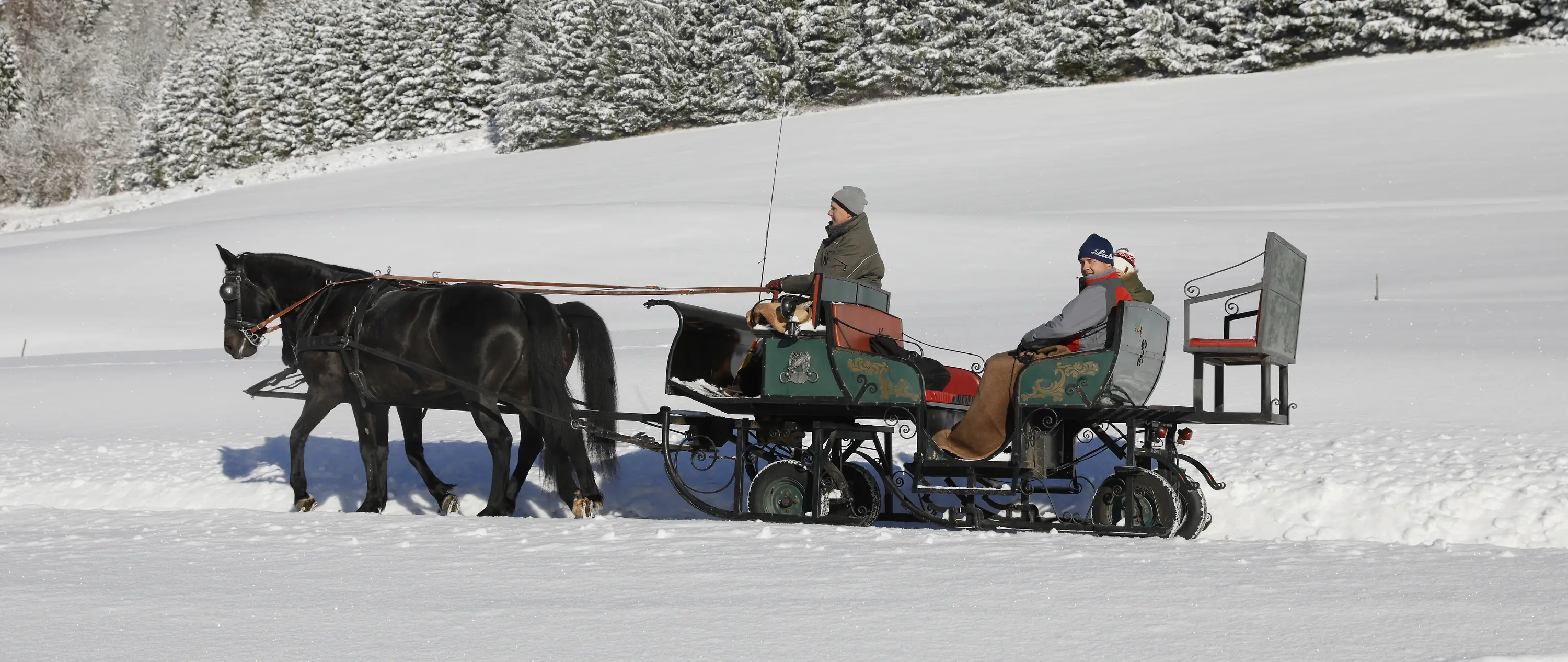 Horse drawn sleigh ride - Private tour in the Austrian mountains