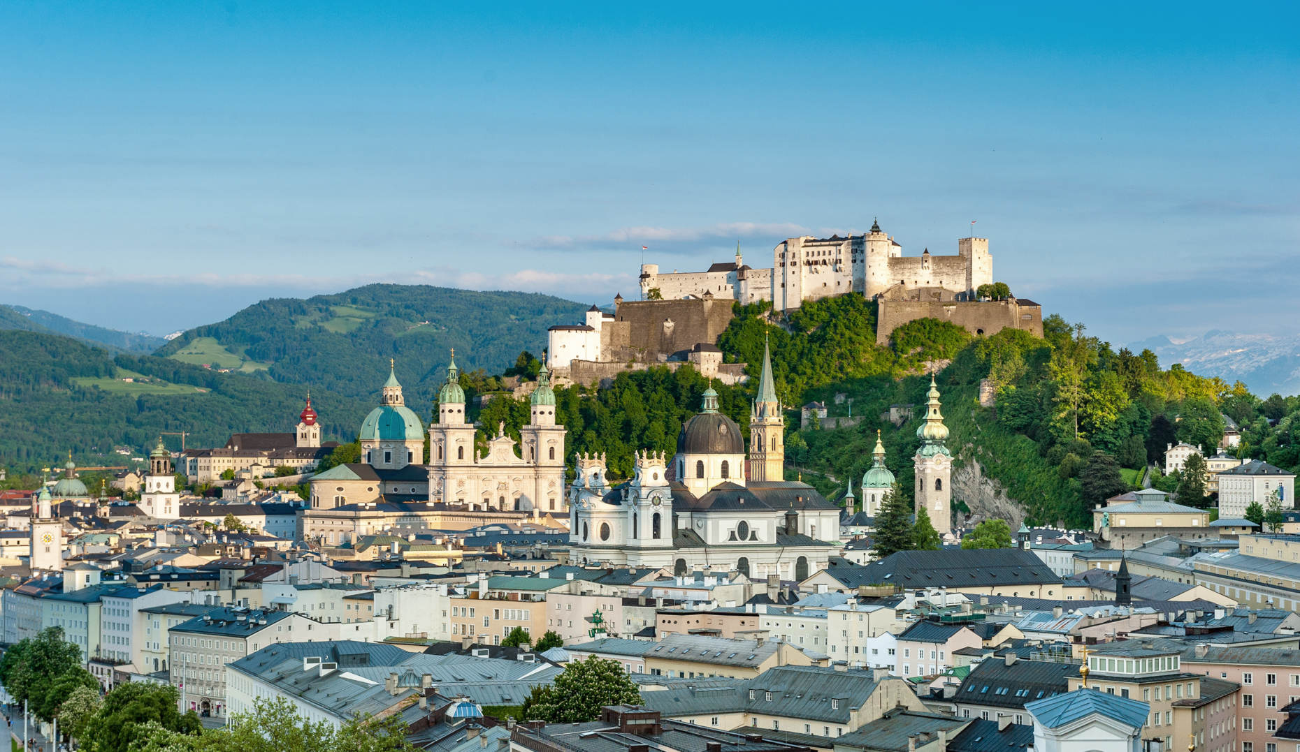 panorama tours salzburg team